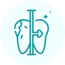 dental dental